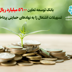 بانک توسعه تعاون 5600 میلیارد ریال تسهیلات اشتغال‌زا به نهادهای حمایتی پرداخت کرد