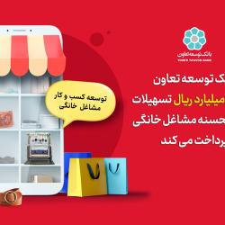 پرداخت 4 هزار میلیارد ریال تسهیلات قرض الحسنه مشاغل خانگی توسط بانک توسعه تعاون