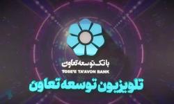 تلویزیون توسعه تعاون